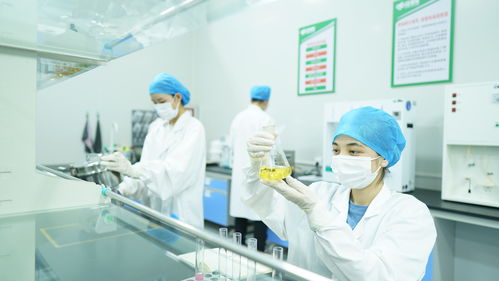 疆果果健康食品研究院獲評自治區(qū)級企業(yè)技術(shù)中心，引領(lǐng)健康食品產(chǎn)業(yè)創(chuàng)新發(fā)展